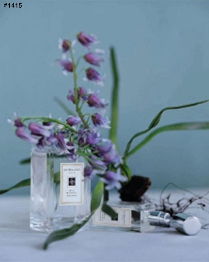 조말론 와일드 블루벨 코롱 오드코롱 향수    