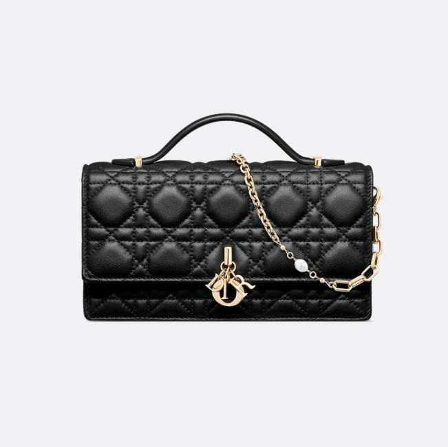 디올  My Dr 미니 백