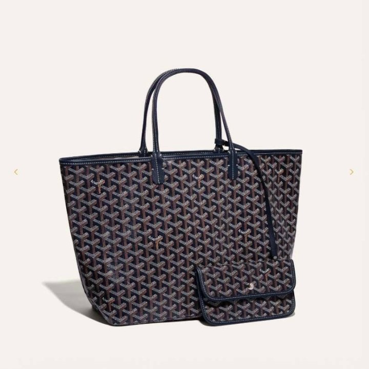 고야드  생루이 백 PM