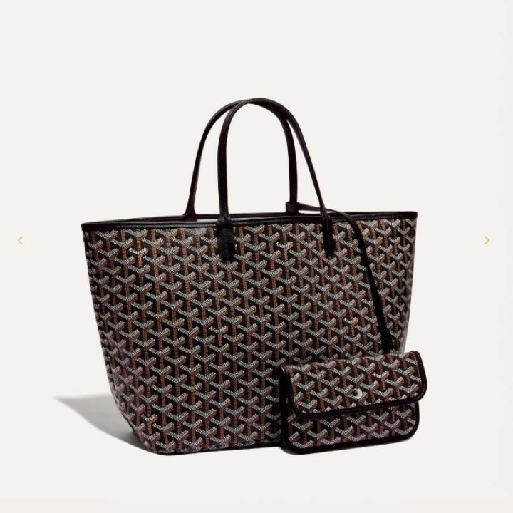 고야드  생루이 백 PM